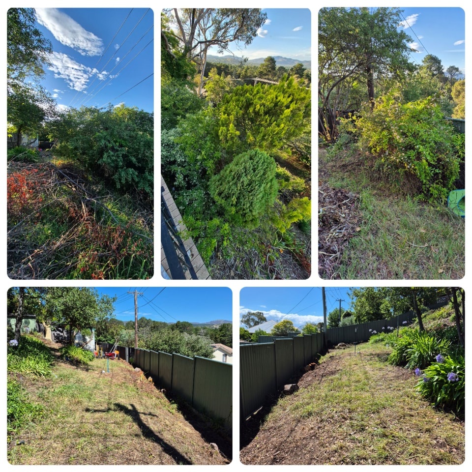 Green Waste Canberra: Your Complete Disposal Guide