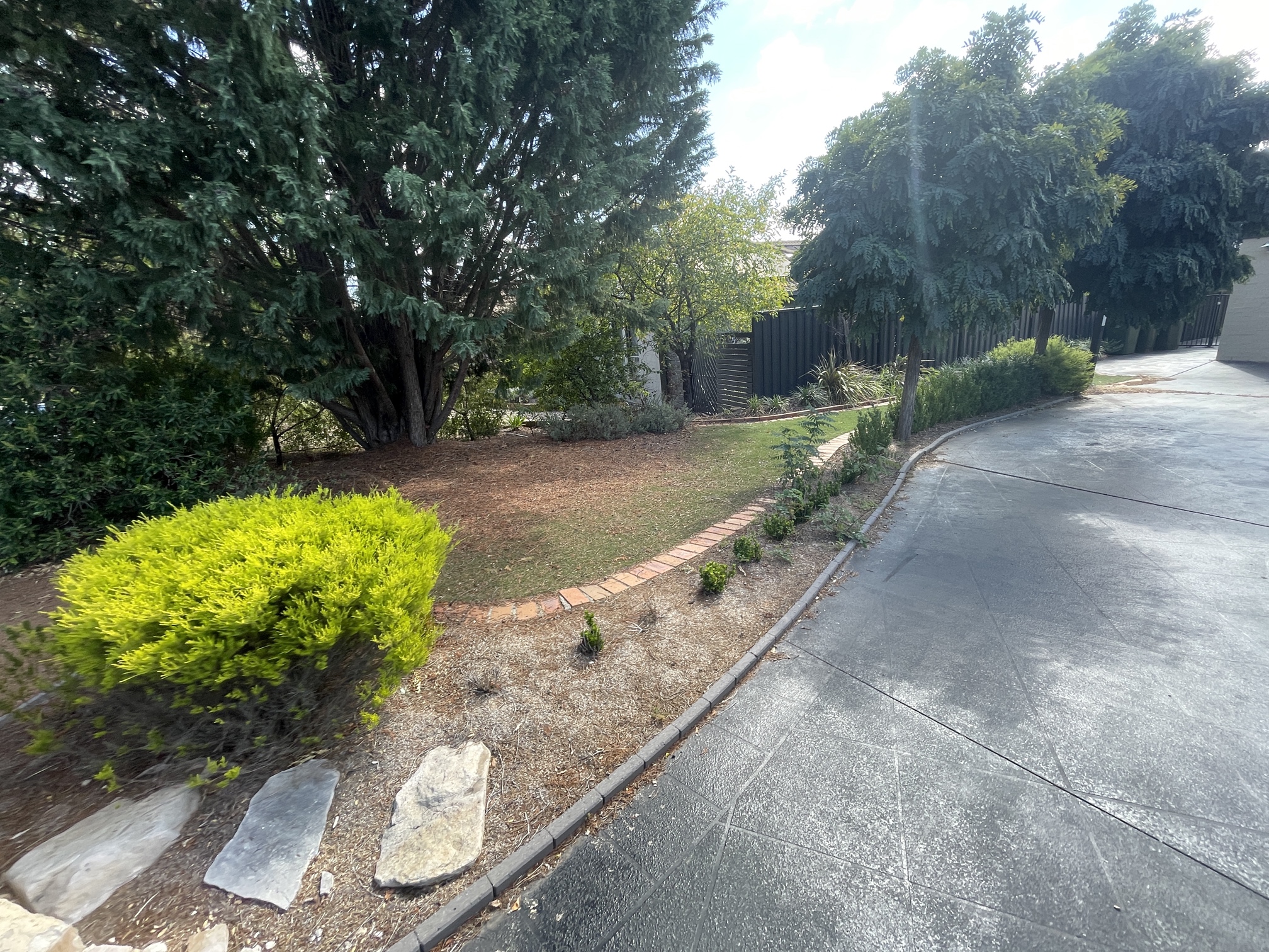 A well-maintained driveway border with precise lawn edging and decorative stone mulch around shrubs, showcasing Down the Rabbit Hole professional landscaping work in Canberra.