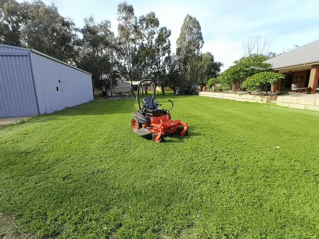 How Often to Mow Your Lawn in Byford: A Seasonal Guide