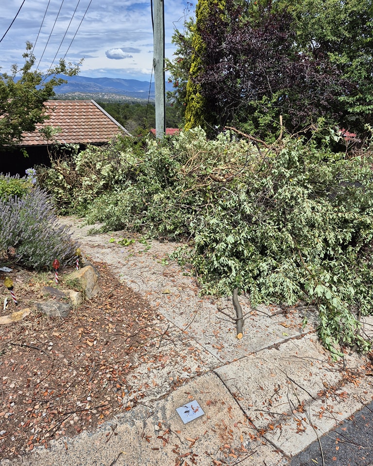 Large pile of branches on a driveway