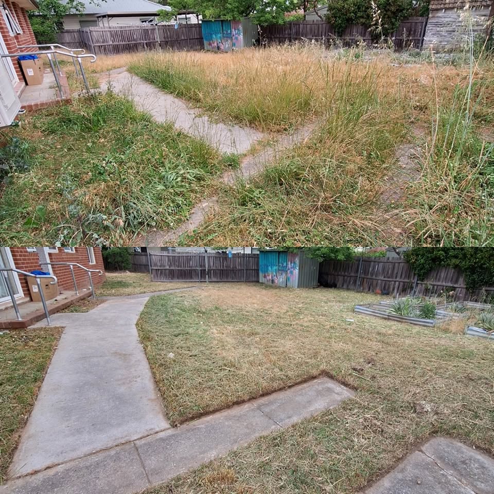 Canberra Winter Lawn Care Guide for Homeowners