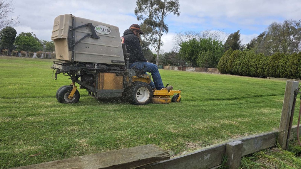 A professional zero-turn mower cutting grass on a large acreage property.