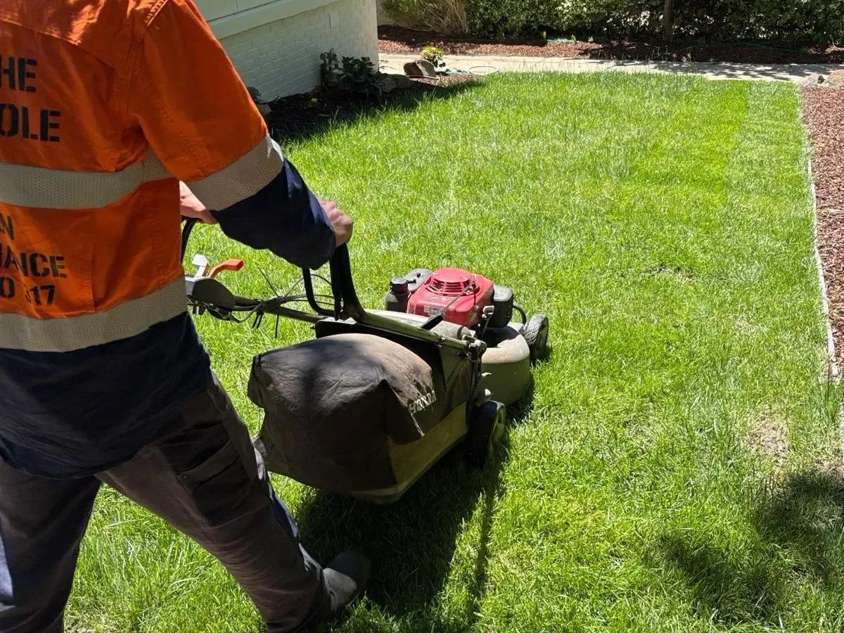 A professional gardener applying seasonal mulch in a well-tended garden bed.