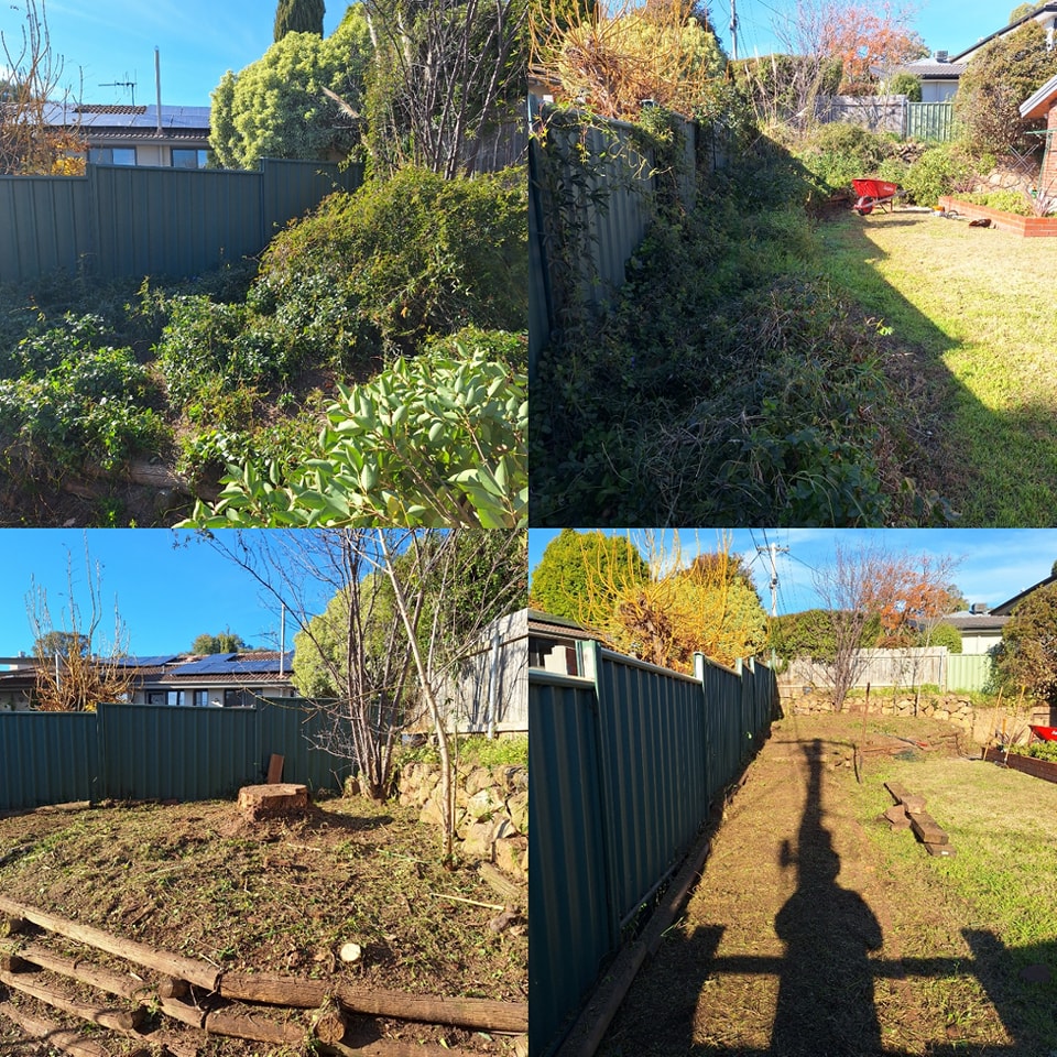 Yard Clean-Up Results in Canberra