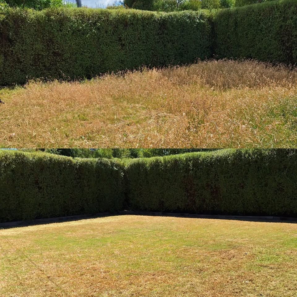 A dormant, frosty lawn in early morning light during an Australian winter.