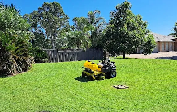 A healthy, vibrant green lawn soaking up the summer sun in Cessnock.