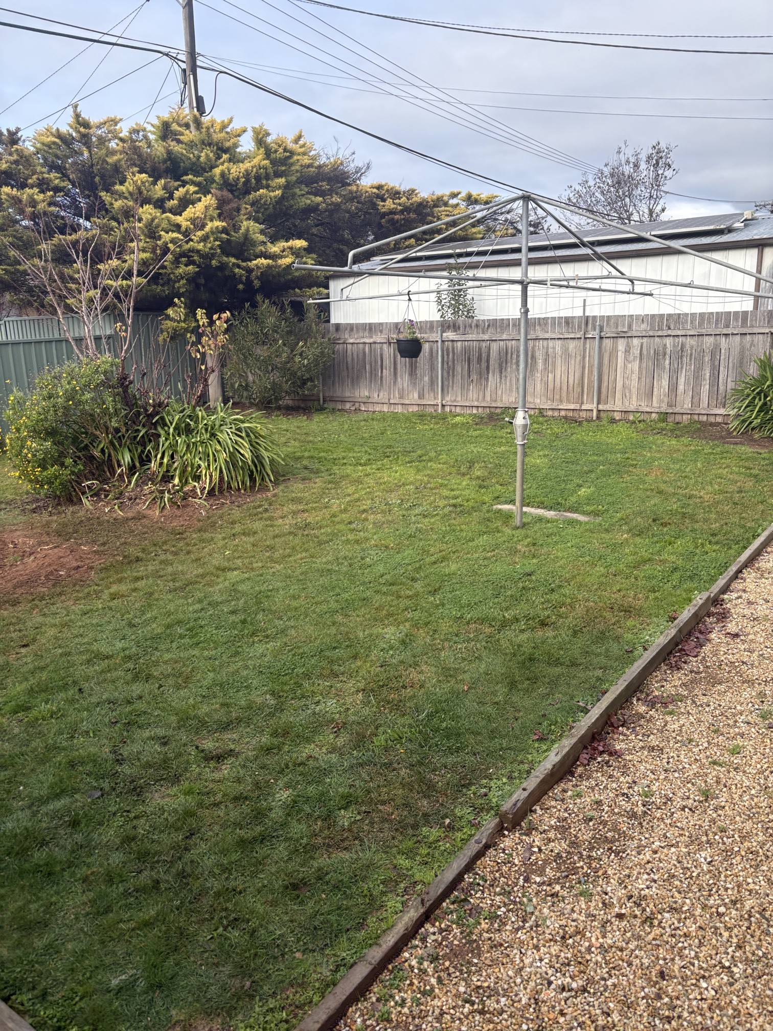 A freshly mowed lawn in a Canberra backyard, showing healthy green grass under the spring sun. A freshly mowed lawn in a Canberra backyard, showing healthy green grass under the spring sun.