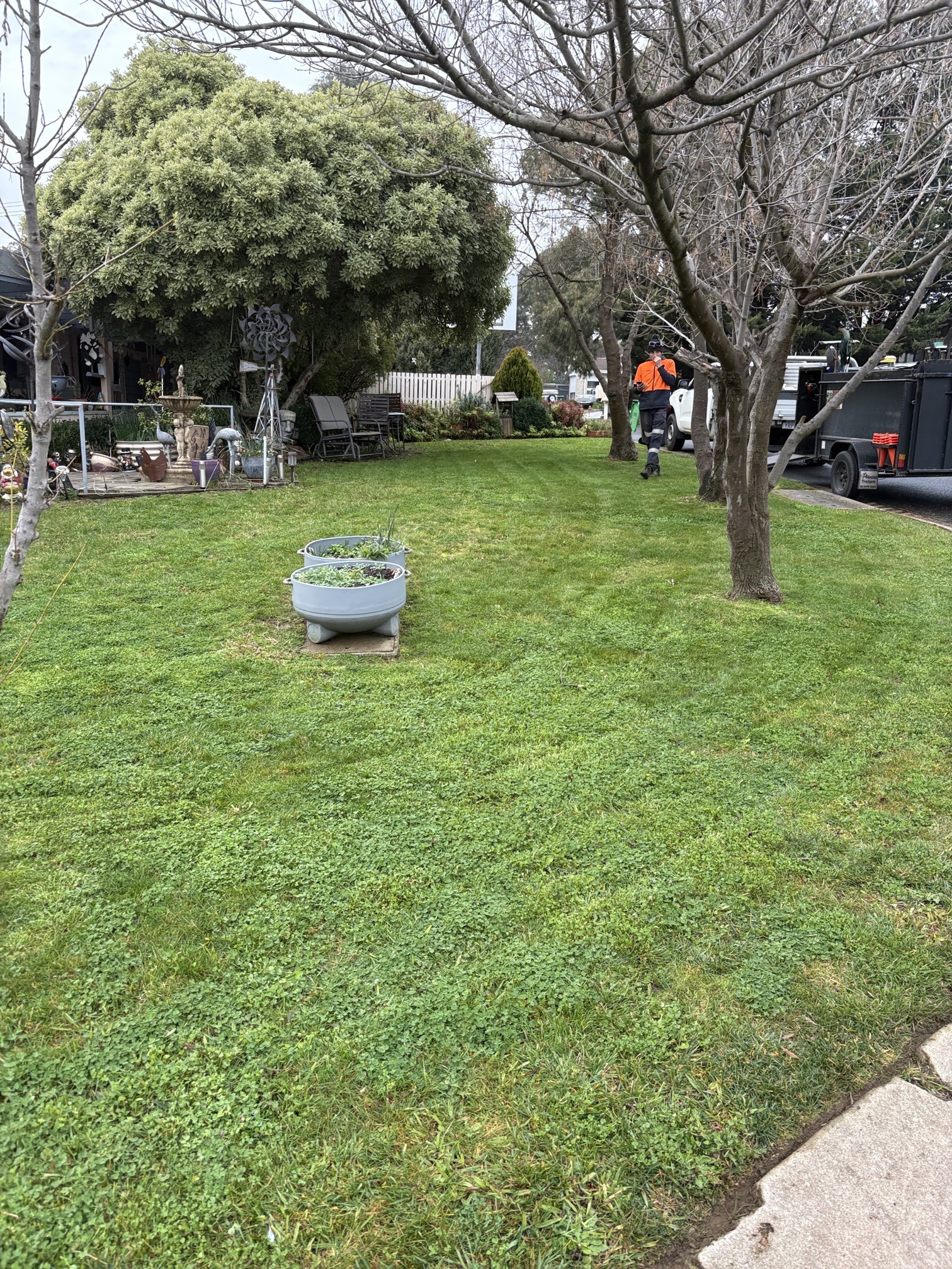 Spring Lawn Mowing Canberra: Your Post-Winter Guide