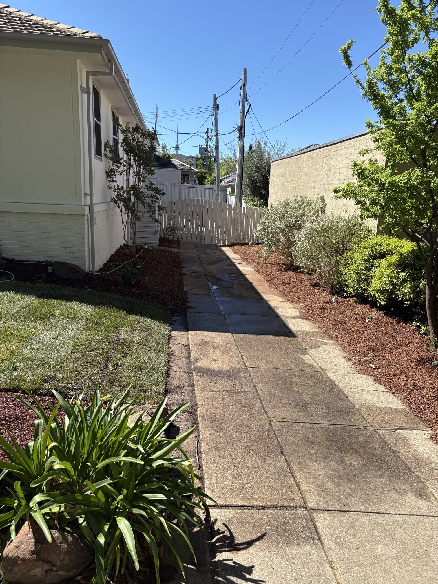 Neat pathway and garden maintenance Canberra Neat pathway and garden maintenance Canberra