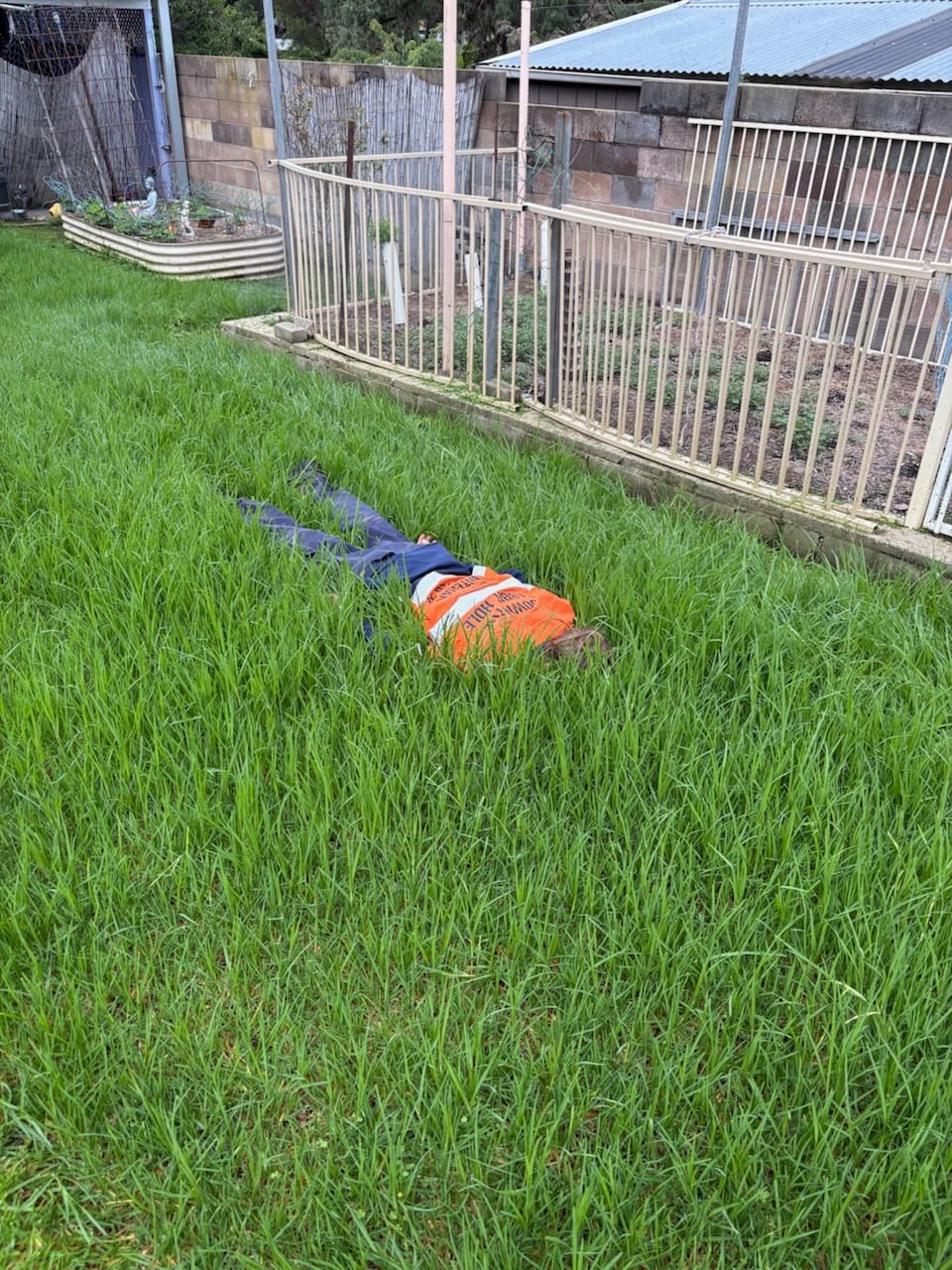 Close-up of a lawn mower blade cutting blades of grass to the correct height.