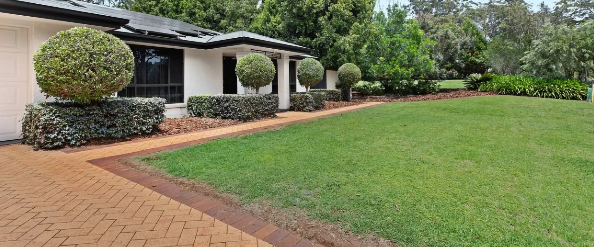 Stop Bindi & Broadleaf Weeds Before Canberra Summer