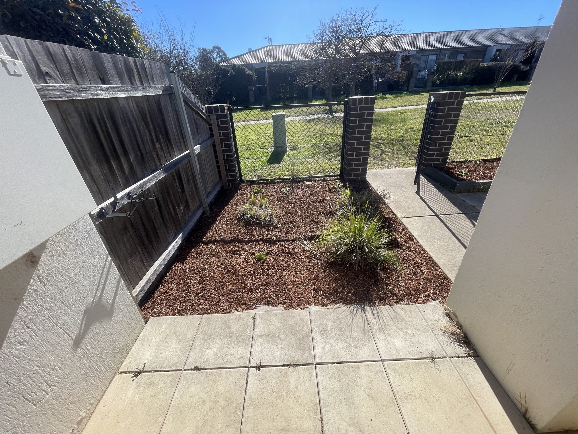 A freshly mulched garden bed with vibrant green plants, showcasing improved aesthetics and health.